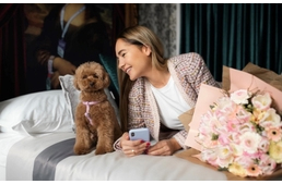 Magic and luxury in a dog friendly hotel - it's possible! Magic and luxury in a dog friendly hotel - it's possible!